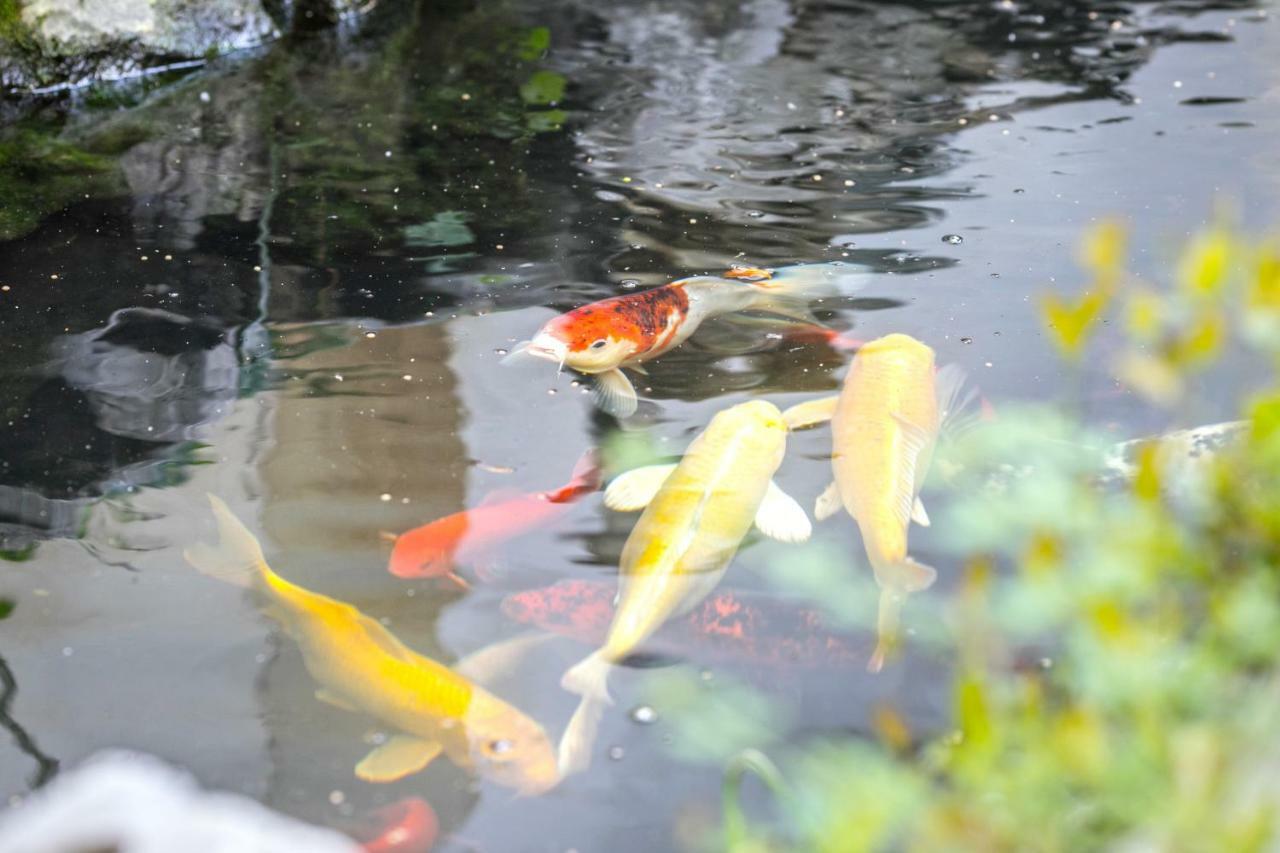 Tongli 1917 Best South Inn Suzhou  Zewnętrze zdjęcie